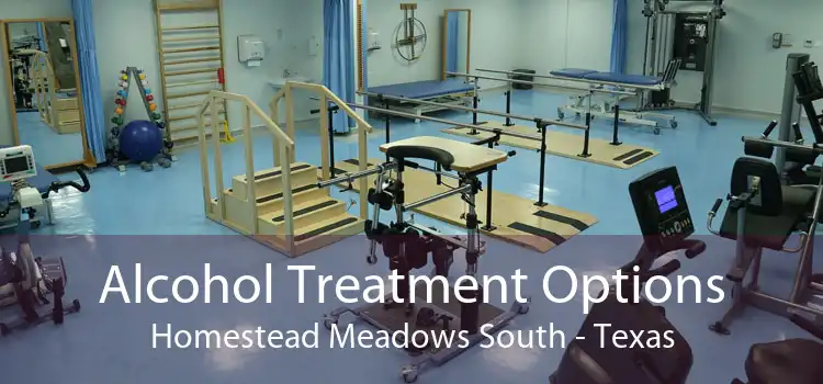Alcohol Treatment Options Homestead Meadows South - Texas