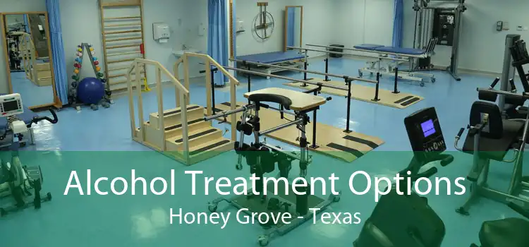 Alcohol Treatment Options Honey Grove - Texas
