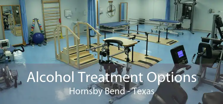 Alcohol Treatment Options Hornsby Bend - Texas