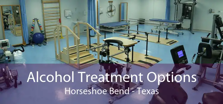 Alcohol Treatment Options Horseshoe Bend - Texas