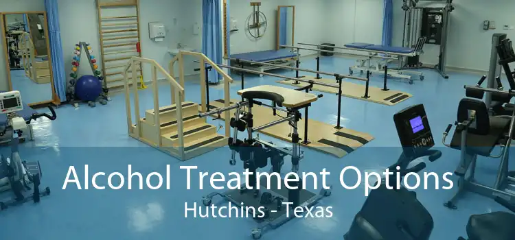 Alcohol Treatment Options Hutchins - Texas