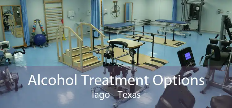 Alcohol Treatment Options Iago - Texas