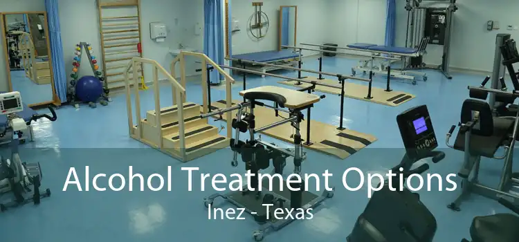 Alcohol Treatment Options Inez - Texas