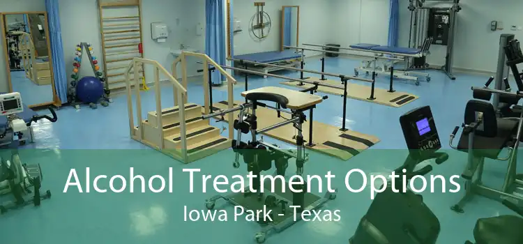 Alcohol Treatment Options Iowa Park - Texas