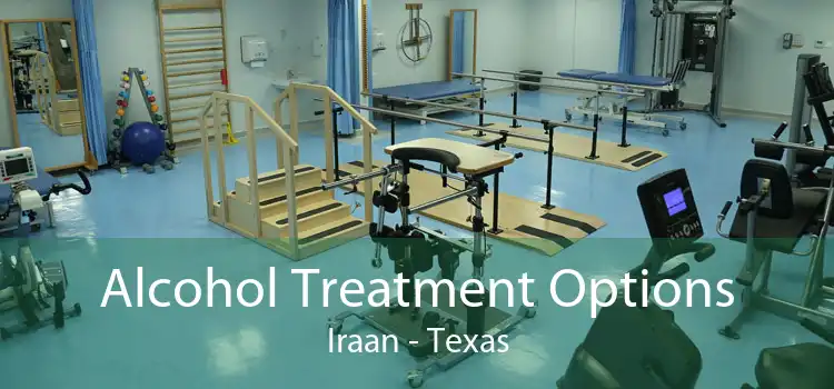 Alcohol Treatment Options Iraan - Texas