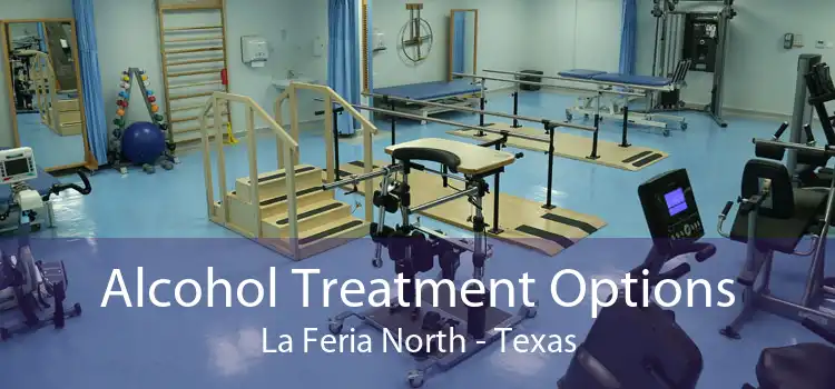 Alcohol Treatment Options La Feria North - Texas