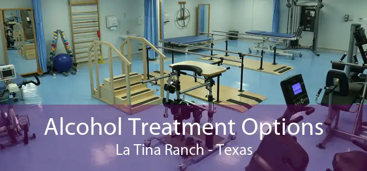 Alcohol Treatment Options La Tina Ranch - Texas