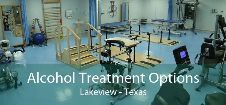 Alcohol Treatment Options Lakeview - Texas