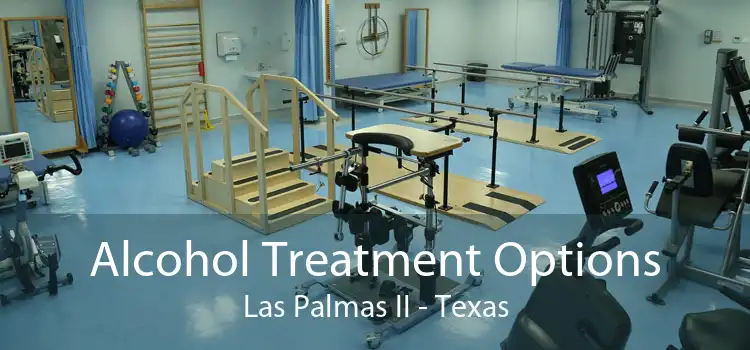 Alcohol Treatment Options Las Palmas II - Texas