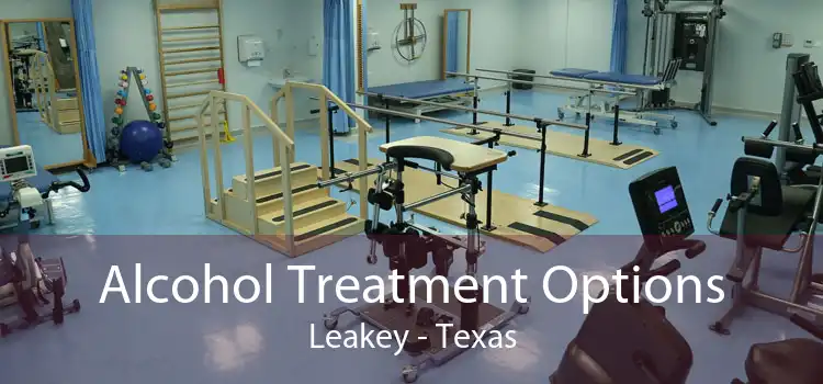 Alcohol Treatment Options Leakey - Texas