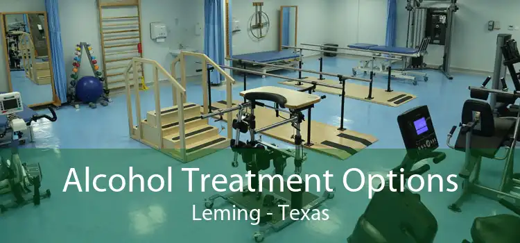 Alcohol Treatment Options Leming - Texas
