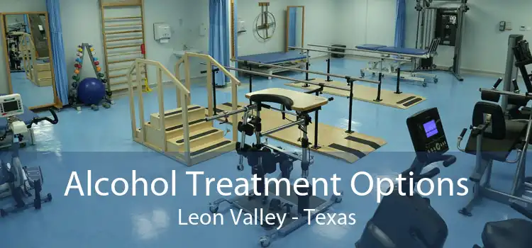 Alcohol Treatment Options Leon Valley - Texas