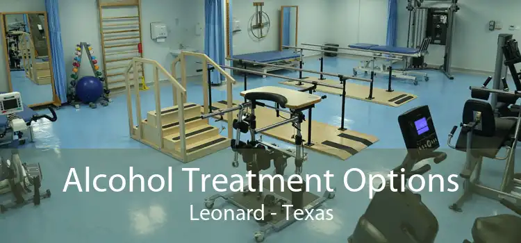 Alcohol Treatment Options Leonard - Texas