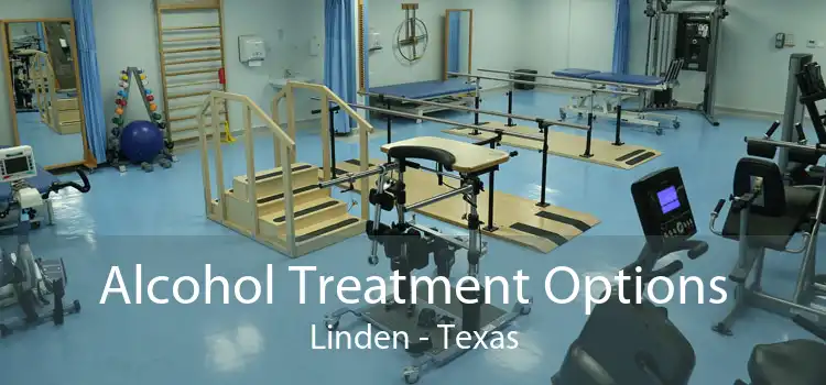 Alcohol Treatment Options Linden - Texas