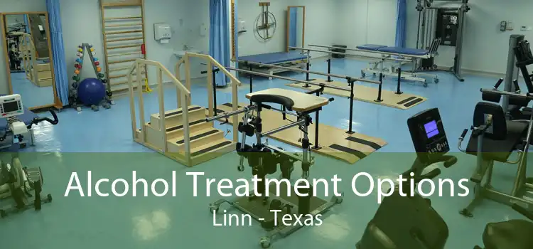 Alcohol Treatment Options Linn - Texas