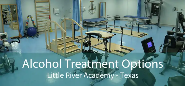Alcohol Treatment Options Little River Academy - Texas