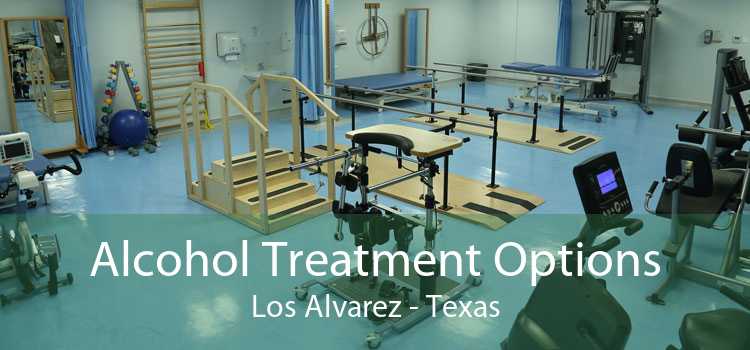 Alcohol Treatment Options Los Alvarez - Texas