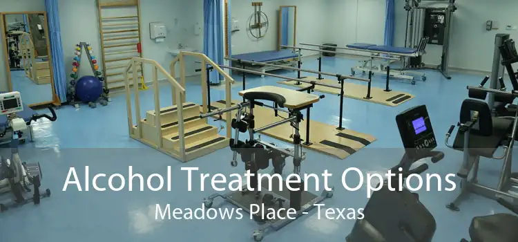 Alcohol Treatment Options Meadows Place - Texas