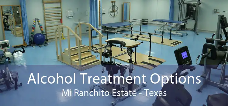 Alcohol Treatment Options Mi Ranchito Estate - Texas