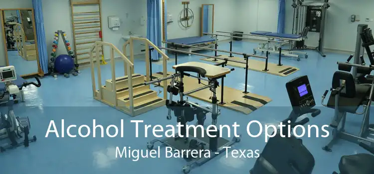 Alcohol Treatment Options Miguel Barrera - Texas