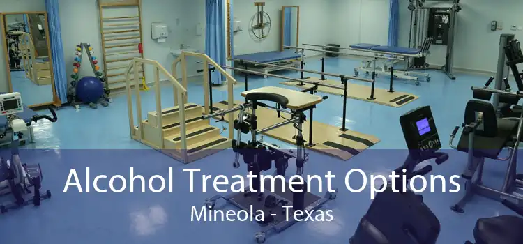 Alcohol Treatment Options Mineola - Texas