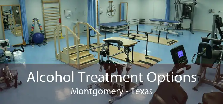 Alcohol Treatment Options Montgomery - Texas