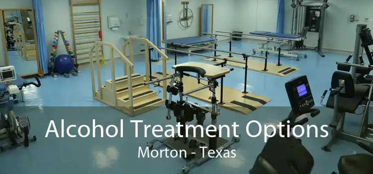 Alcohol Treatment Options Morton - Texas