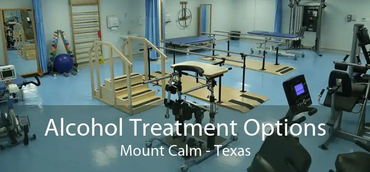 Alcohol Treatment Options Mount Calm - Texas