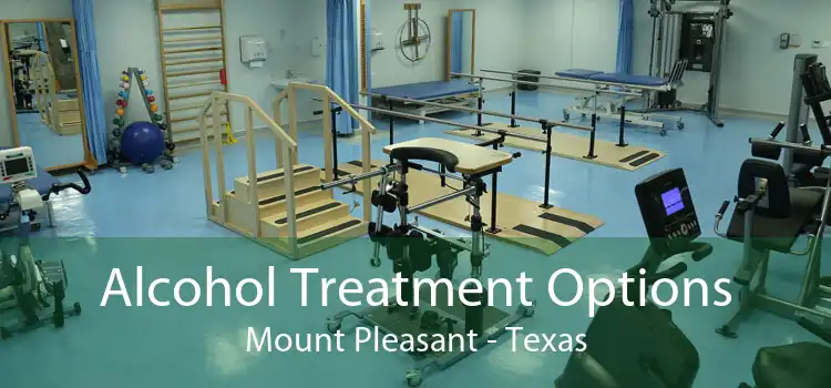 Alcohol Treatment Options Mount Pleasant - Texas