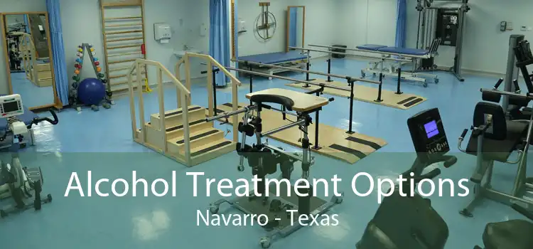 Alcohol Treatment Options Navarro - Texas