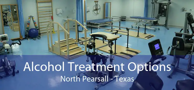 Alcohol Treatment Options North Pearsall - Texas