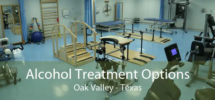 Alcohol Treatment Options Oak Valley - Texas