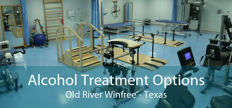 Alcohol Treatment Options Old River Winfree - Texas