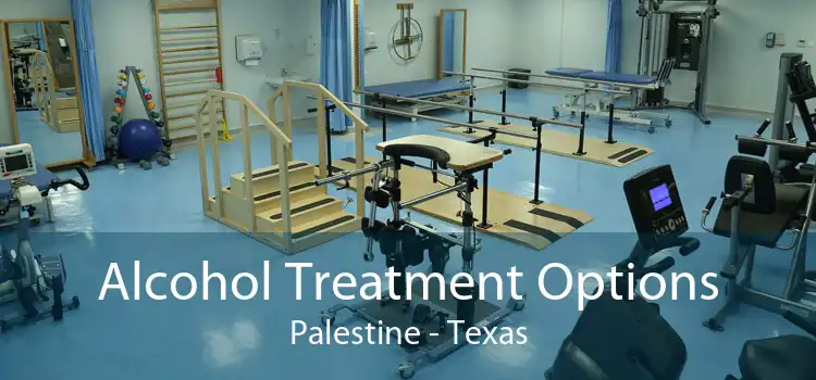 Alcohol Treatment Options Palestine - Texas