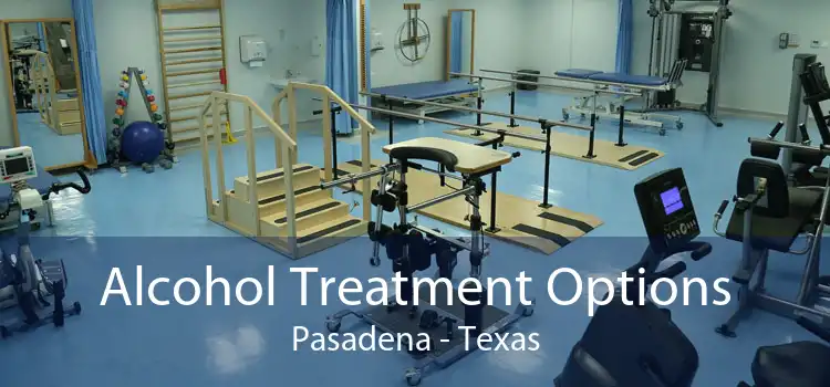 Alcohol Treatment Options Pasadena - Texas