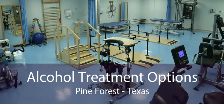 Alcohol Treatment Options Pine Forest - Texas