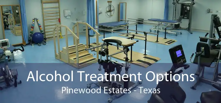 Alcohol Treatment Options Pinewood Estates - Texas