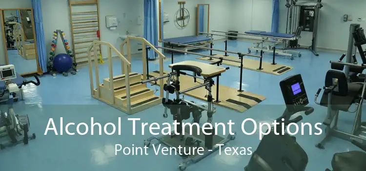 Alcohol Treatment Options Point Venture - Texas