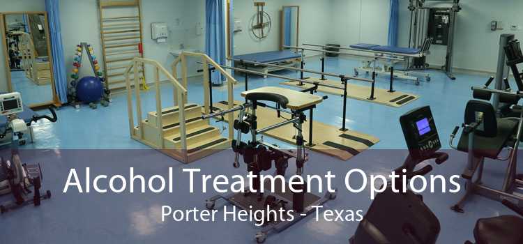 Alcohol Treatment Options Porter Heights - Texas