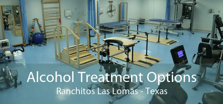 Alcohol Treatment Options Ranchitos Las Lomas - Texas