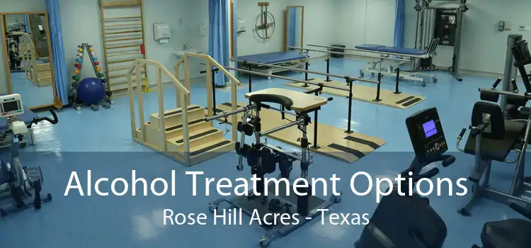 Alcohol Treatment Options Rose Hill Acres - Texas