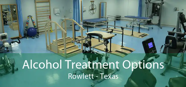 Alcohol Treatment Options Rowlett - Texas