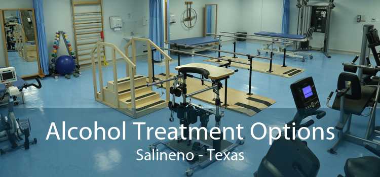 Alcohol Treatment Options Salineno - Texas