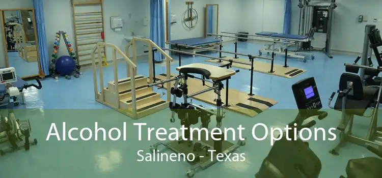 Alcohol Treatment Options Salineno - Texas
