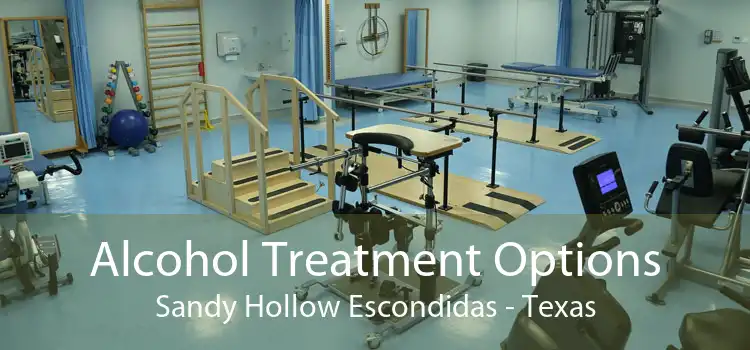 Alcohol Treatment Options Sandy Hollow Escondidas - Texas