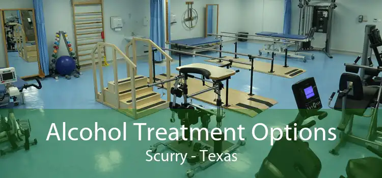 Alcohol Treatment Options Scurry - Texas