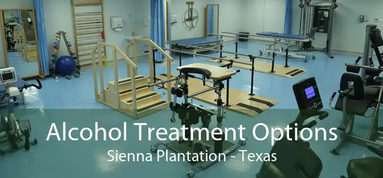 Alcohol Treatment Options Sienna Plantation - Texas