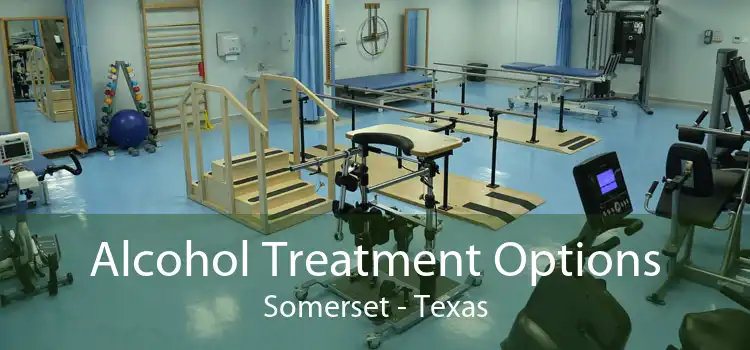 Alcohol Treatment Options Somerset - Texas