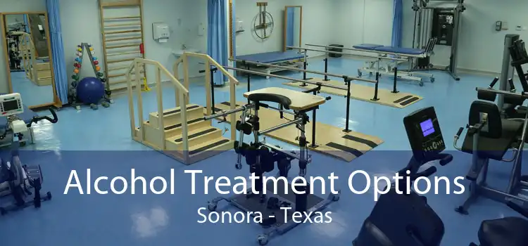 Alcohol Treatment Options Sonora - Texas