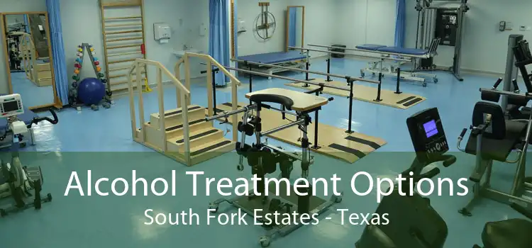 Alcohol Treatment Options South Fork Estates - Texas